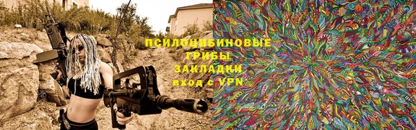 не бодяженный Ельня
