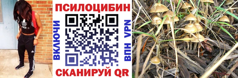 Галлюциногенные грибы Psilocybine cubensis  Иланский 