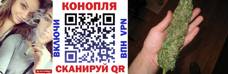 Каннабис ГИДРОПОН  хочу наркоту  OMG ТОР  Иланский 